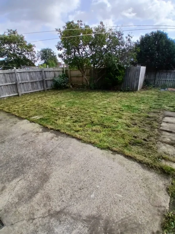 The rear lawn and garden after tidying.