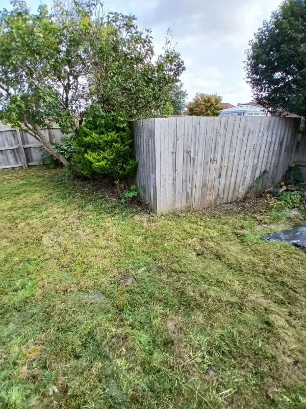 The lawn and planting around the garden fence.