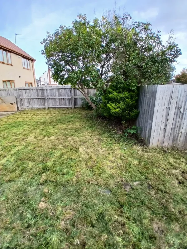 The refreshed garden, ready for the new tenants.