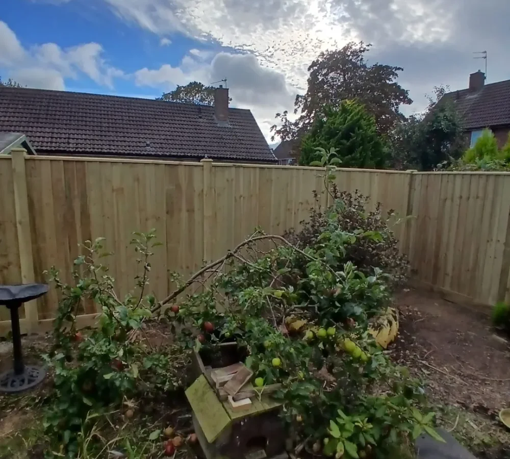 The finished timber fence enclosing the garden.