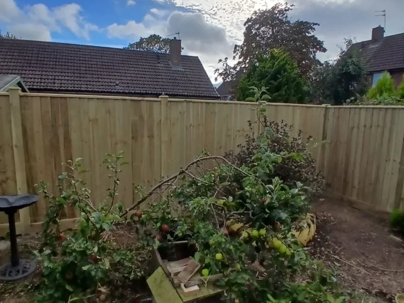 The finished timber fence enclosing the garden.