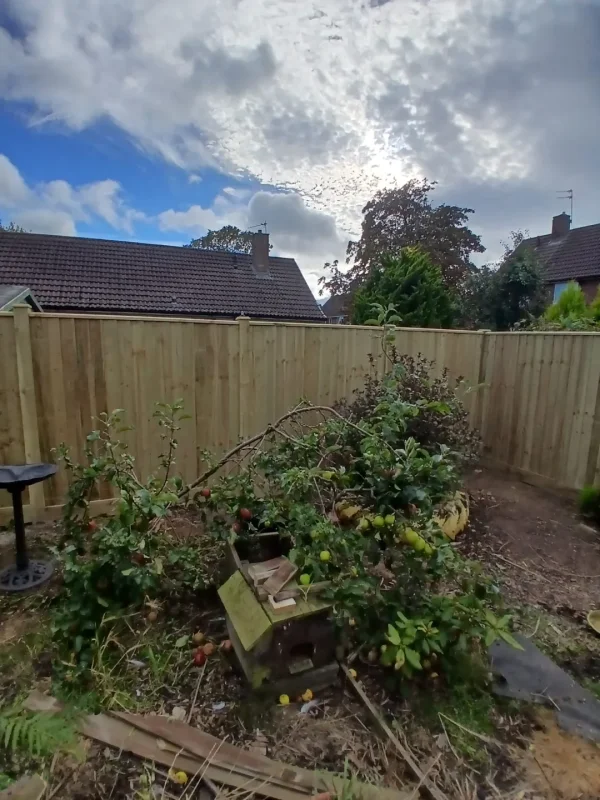 The finished timber fence enclosing the garden.