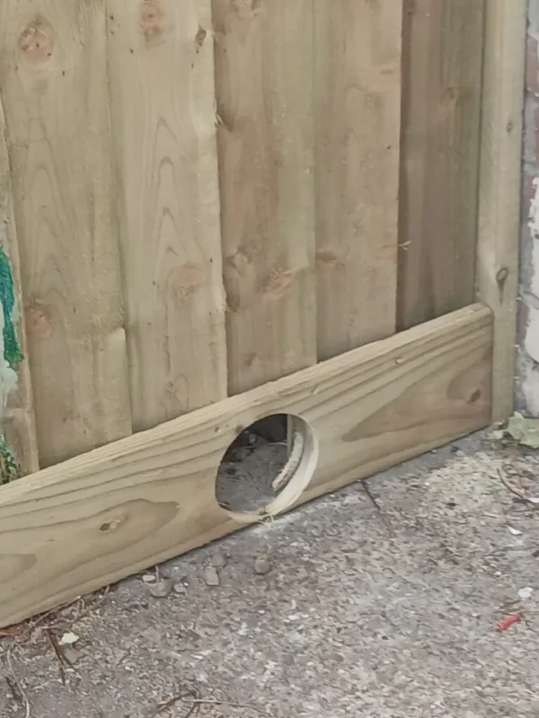 The opening at the base of the fence for the visiting hedgehog.